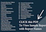 run an infographic demographic report USA only